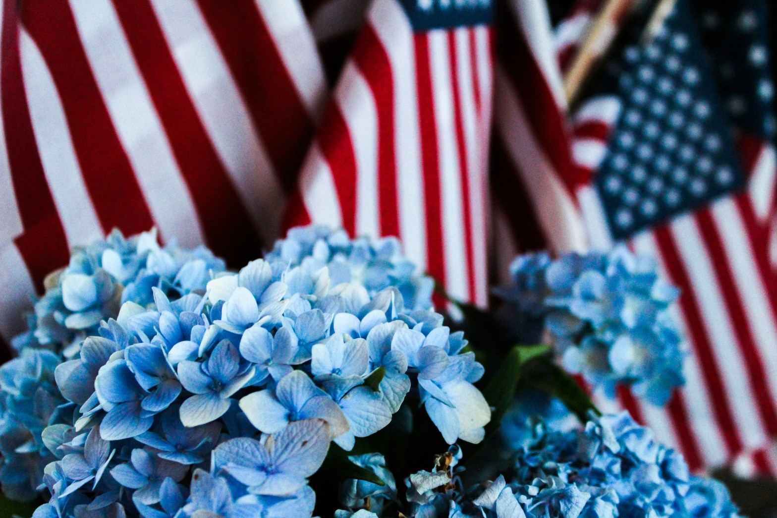 Fourth of July Weekend Events in Cumberland, MD (2026 Guide)